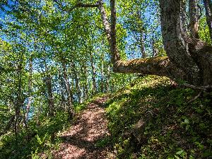 幌岩山登山遊歩道