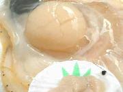 新鮮なサロマのホタテ